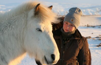 Reittour Zauber der landschaft in Südisland