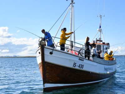 Seeangeln ab Reykjavik