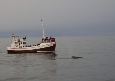 Bootstouren auf Island