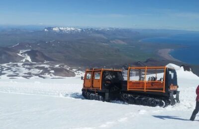 Schneekatze auf dem Snæfellsjökull Gletscher