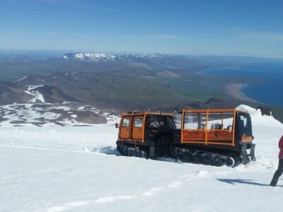 Schneekatze auf dem Snæfellsjökull Gletscher