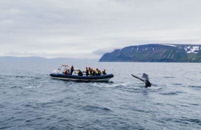 Walbeobachtungsboot im Ísafjarðardjúp