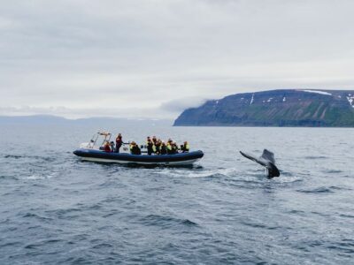 Walbeobachtungsboot im Ísafjarðardjúp
