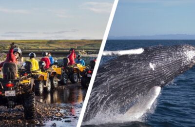 ATV Tour und Walbeobachtung in Reykjavik