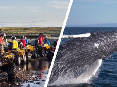 ATV Tour und Walbeobachtung in Reykjavik